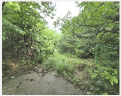  2024Ÿ��36621 ��� ���� ��õ�� ��õ�� 275-11      ����(�Ӿ�)���