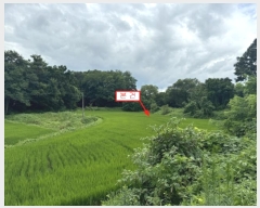  2024Ÿ��37143  ����