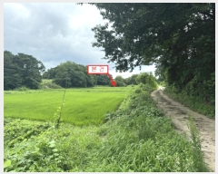  2024Ÿ��37143  ����