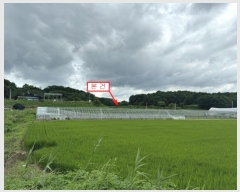  2024Ÿ��37143  ����