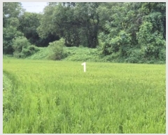  2024Ÿ��37143  ����