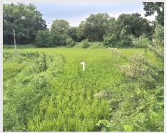  2024Ÿ��37143  ����