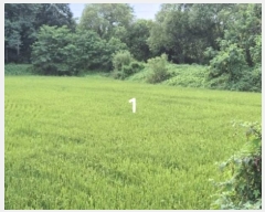  2024Ÿ��37143  ����