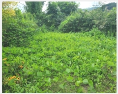  2024Ÿ��37273  �������