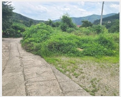  2024Ÿ��37273  �������