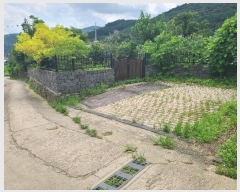  2024Ÿ��37273  �������