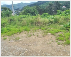  2024Ÿ��37273  �������