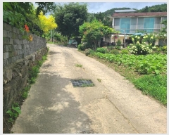  2024Ÿ��37273  �������