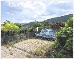  2024Ÿ��37273  �������