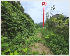  2024Ÿ��37440 ��� ���� ���ϸ� �ױݸ� 374-7      â���������