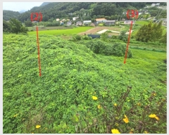  2024Ÿ��37440 ��� ���� ���ϸ� �ױݸ� 374-7      â���������