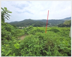  2024Ÿ��37440 ��� ���� ���ϸ� �ױݸ� 374-7      â���������