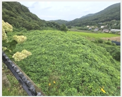  2024Ÿ��37440 ��� ���� ���ϸ� �ױݸ� 374-7      â���������