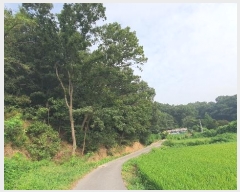  2024Ÿ��37938  �Ӿ߰��