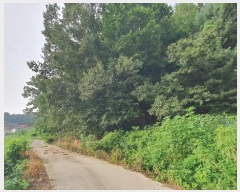  2024Ÿ��37938  �Ӿ߰��