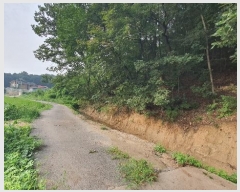  2024Ÿ��37938  �Ӿ߰��