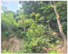  2024Ÿ��37938  �Ӿ߰��