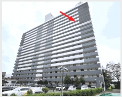  2024Ÿ��38023  ����Ʈ���