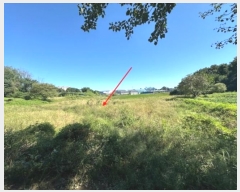  2024Ÿ��38122 ��� ��õ�� ����� ������ 323      ����(��)���