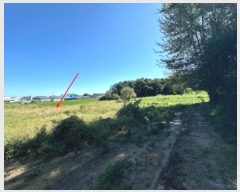  2024Ÿ��38122 ��� ��õ�� ����� ������ 323      ����(��)���