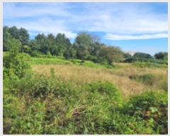  2024Ÿ��38122 ��� ��õ�� ����� ������ 323      ����(��)���