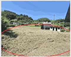  2024Ÿ��38375 ��� ���� ������ ȸ���� 234-6      ����(��1)���