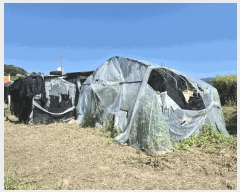  2024Ÿ��38375 ��� ���� ������ ȸ���� 234-6      ����(��1)���