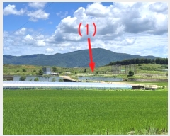  2024Ÿ2904  ȼ  Ÿ 133-3      (1)