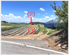  2024Ÿ2904  ȼ  Ÿ 133-3      (1)