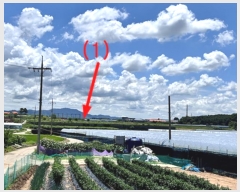  2024Ÿ2904  ȼ  Ÿ 133-3      (1)