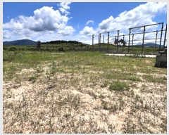  2024Ÿ2904  ȼ  Ÿ 133-3      (1)