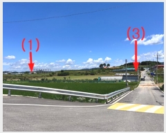  2024Ÿ2904  ȼ  Ÿ 133-3      (1)