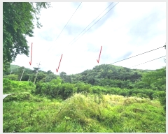  2024Ÿ2966  ȼ ׻ 뼳 1184-6      (Ӿ)