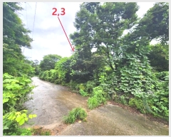  2024Ÿ2966  ȼ ׻ 뼳 1184-6      (Ӿ)