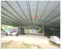  2024Ÿ��2966 ��� �ȼ��� �׻�� �뼳�� 1181      ���(�󰡽ü�)���