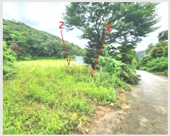  2024Ÿ2966  ȼ ׻ 뼳 1184-6      (Ӿ)