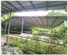  2024Ÿ��2966 ��� �ȼ��� �׻�� �뼳�� 1181      ���(�󰡽ü�)���