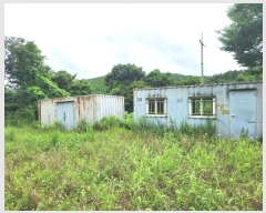  2024Ÿ2966  ȼ ׻ 뼳 1184-6      (Ӿ)