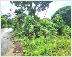  2024Ÿ2966  ȼ ׻ 뼳 1184-6      (Ӿ)