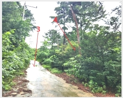  2024Ÿ2966  ȼ ׻ 뼳 1184-6      (Ӿ)