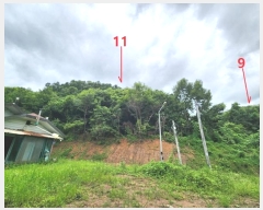  2024Ÿ2966  ȼ ׻ 뼳 1184-6      (Ӿ)