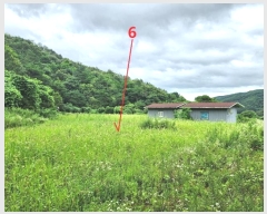  2024Ÿ2966  ȼ ׻ 뼳 1184-6      (Ӿ)