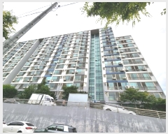  2024Ÿ3914  ȼ  6 25, 111101ȣ (ŶƮ)    Ʈ