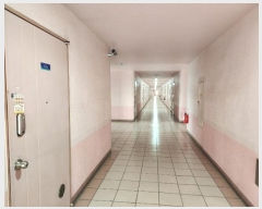  2024Ÿ3914  ȼ  6 25, 111101ȣ (ŶƮ)    Ʈ