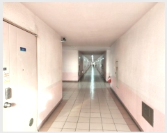  2024Ÿ3914  ȼ  6 25, 111101ȣ (ŶƮ)    Ʈ