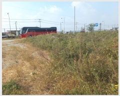  2024Ÿ4467  ý   375-1      ()