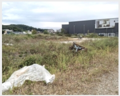  2024Ÿ4467  ý   375-1      ()