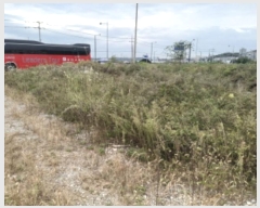  2024Ÿ4467  ý   375-1      ()