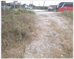  2024Ÿ4467  ý   375-1      ()