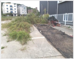  2024Ÿ4467  ý   375-1      ()